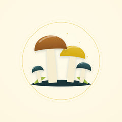 Medicinal mushrooms