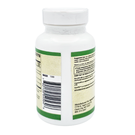 AlchePharma Advanced Brain Support: Enhance Memory, Focus, and Cognition. Vegan-AlchePharma