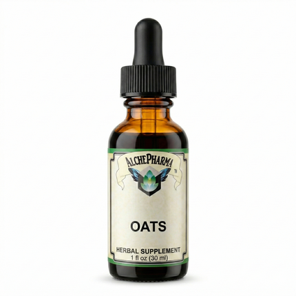 AlchePharma Organic Fresh Milky Oats (Avena fatua) - Potent 1:2 Liquid Extract-Herb-AlchePharma