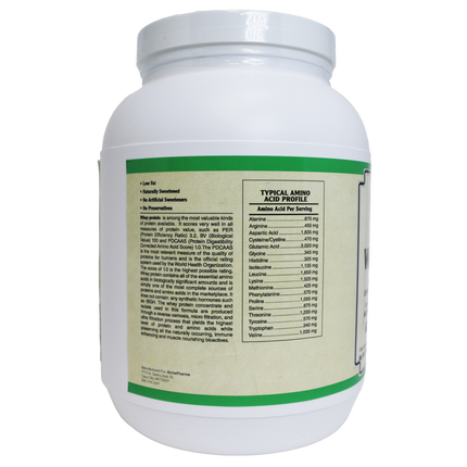 AlchePharma Premium Whey Blend (Concentrate & Isolate) - Natural Chocolate-Protein Powders-AlchePharma