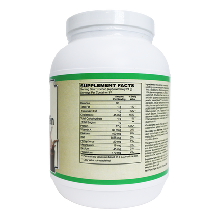 AlchePharma Premium Whey Blend (Concentrate & Isolate) - Natural Chocolate-Protein Powders-AlchePharma