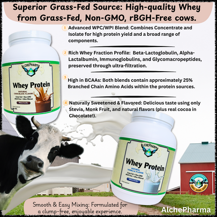 AlchePharma Premium Whey Blend (Concentrate & Isolate) - Natural Vanilla-Protein Powders-AlchePharma