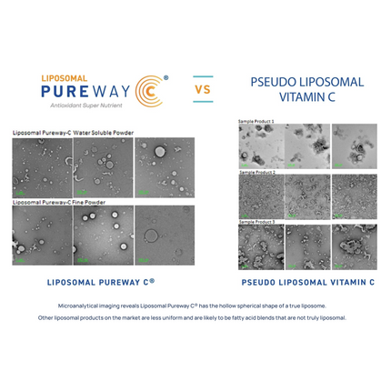 Authentic Liposomal Vitamin C-Vitamins & Supplements-AlchePharma