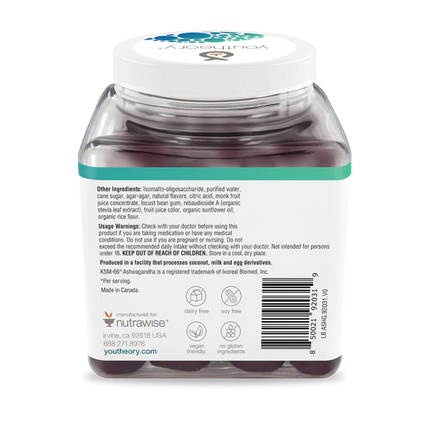 Ashwagandha 60 Gummies (Blueberry-Low Sugar)-Stress-AlchePharma