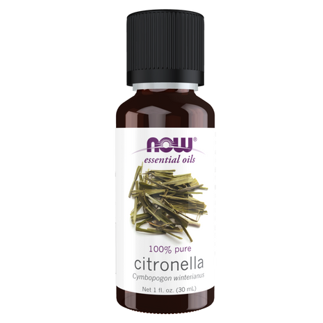 Citronella Oil 1 fl oz-Aromatherapy-AlchePharma