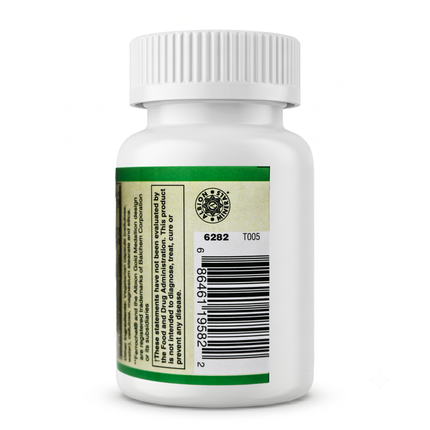 Easy Iron Vegan ( Patented Ferrochel®, iron bisglycinate ) Capsules-Mineral-AlchePharma