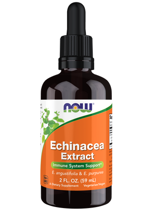 Echinacea Extract Liquid 2 Fl. Oz.-Herbs-AlchePharma