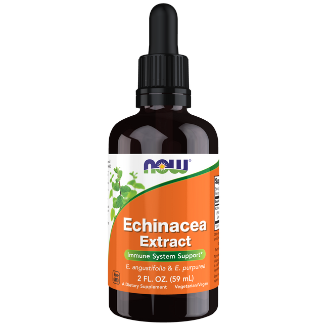 Echinacea Extract Liquid 2 Fl. Oz.-Herbs-AlchePharma