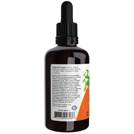 Echinacea & Goldenseal Glycerite-Herbs-AlchePharma