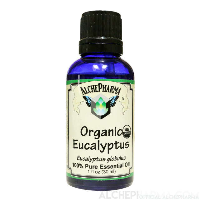 Eucalyptus Pure Organic Essential Oil PARVE K-1604-Essential Oils-AlchePharma