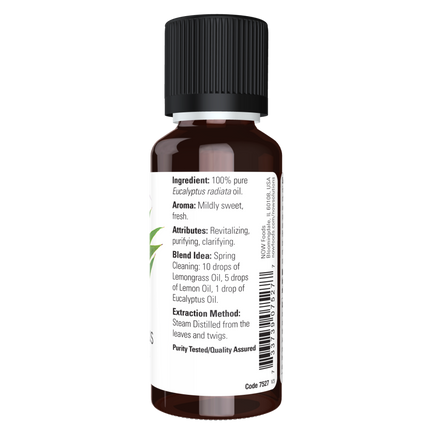 Eucalyptus Radiata Oil-Aromatherapy-AlchePharma