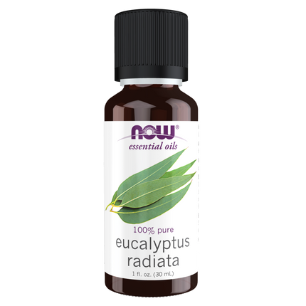 Eucalyptus Radiata Oil-Aromatherapy-AlchePharma