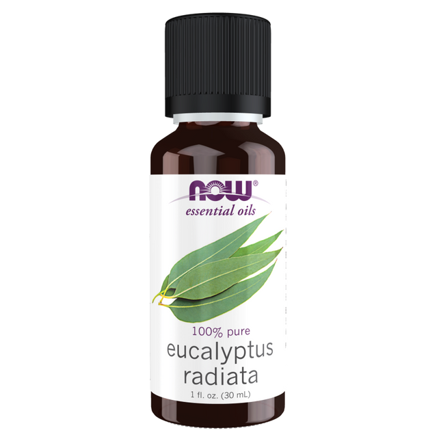 Eucalyptus Radiata Oil-Aromatherapy-AlchePharma