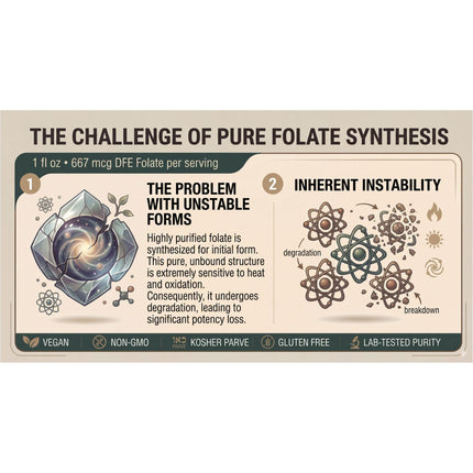 Folate Liquid [ 667 mcg DFE, 400 mcg of Folinic Acid ] 800 Servings-Vitamin-AlchePharma