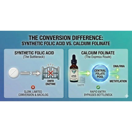 Folate Liquid [ 667 mcg DFE, 400 mcg of Folinic Acid ] 800 Servings-Vitamin-AlchePharma