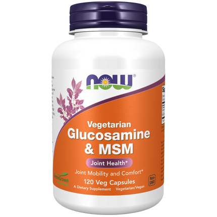 Glucosamine & MSM (Vegetarian) Veg Capsules-Joint Products-AlchePharma