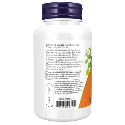 Hawthorn Berry 540 mg Veg Capsules-Herbs-AlchePharma