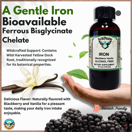 Iron Liquid ( Gentle High Absorption Ferrous Bisglycinate Chelate) Blackberry Vanilla 4 fl oz 24 servings-Minerals-AlchePharma