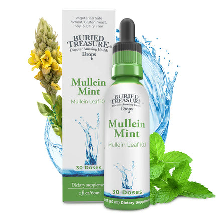 Mullein Mint Drops 200mg 10:1 Extract 2 Fl. Oz. (Alcohol-Free)-Herbal Tincture-AlchePharma