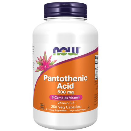 Pantothenic Acid 500 mg Veg Capsules-Vitamins-AlchePharma