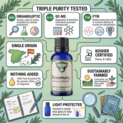 Rosemary Essential Oil – 100% Pure, Steam Distilled, Spain (Rosmarinus officinalis) 1 fl oz-Essential Oil-AlchePharma