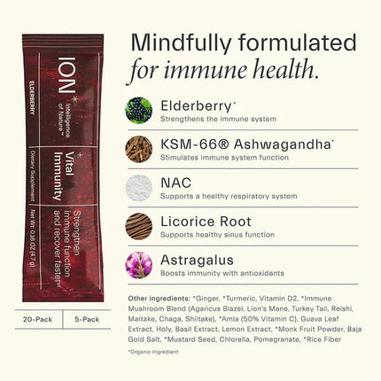 +Vital Immunity - Immune& Recovery Powder (Elderberry)-Super Foods-AlchePharma