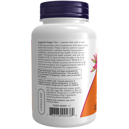 Vitamin B-100 Veg Capsules-Vitamins-AlchePharma