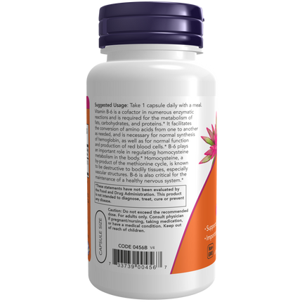 Vitamin B-6 100 mg Veg Capsules-Vitamins-AlchePharma