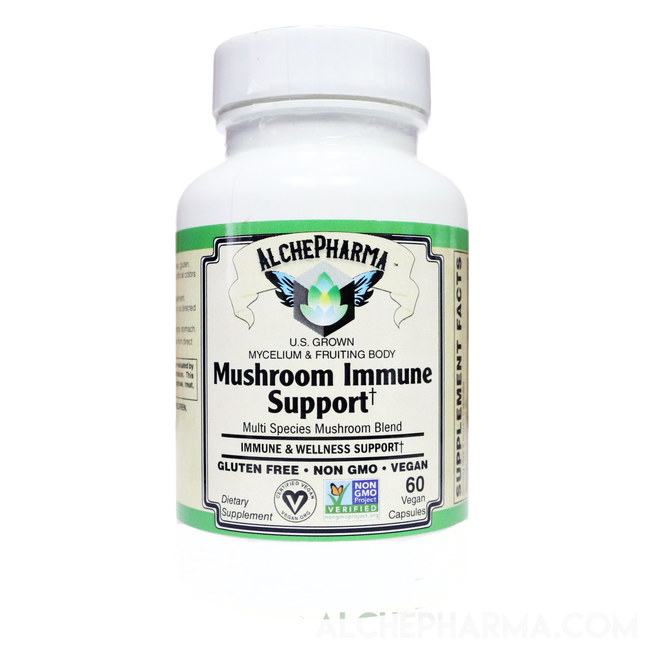 Mushroom Immune Support (Organic Multi-Species Blend) derived from Mycelium & Fruiting Body-Mushrooms-AlchePharma