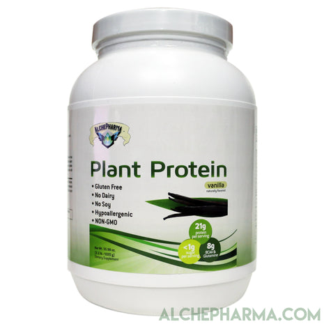 Plant Protein ( Premium Blend ) - No Soy, Hypoallergenic, No Grit ( Featuring Omega 3 Rich Sacha Inchi and Chia )-AlchePharma